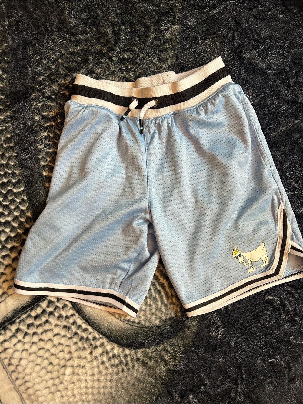 Kids Light Blue Mesh Sports Shorts with Striped Waistband